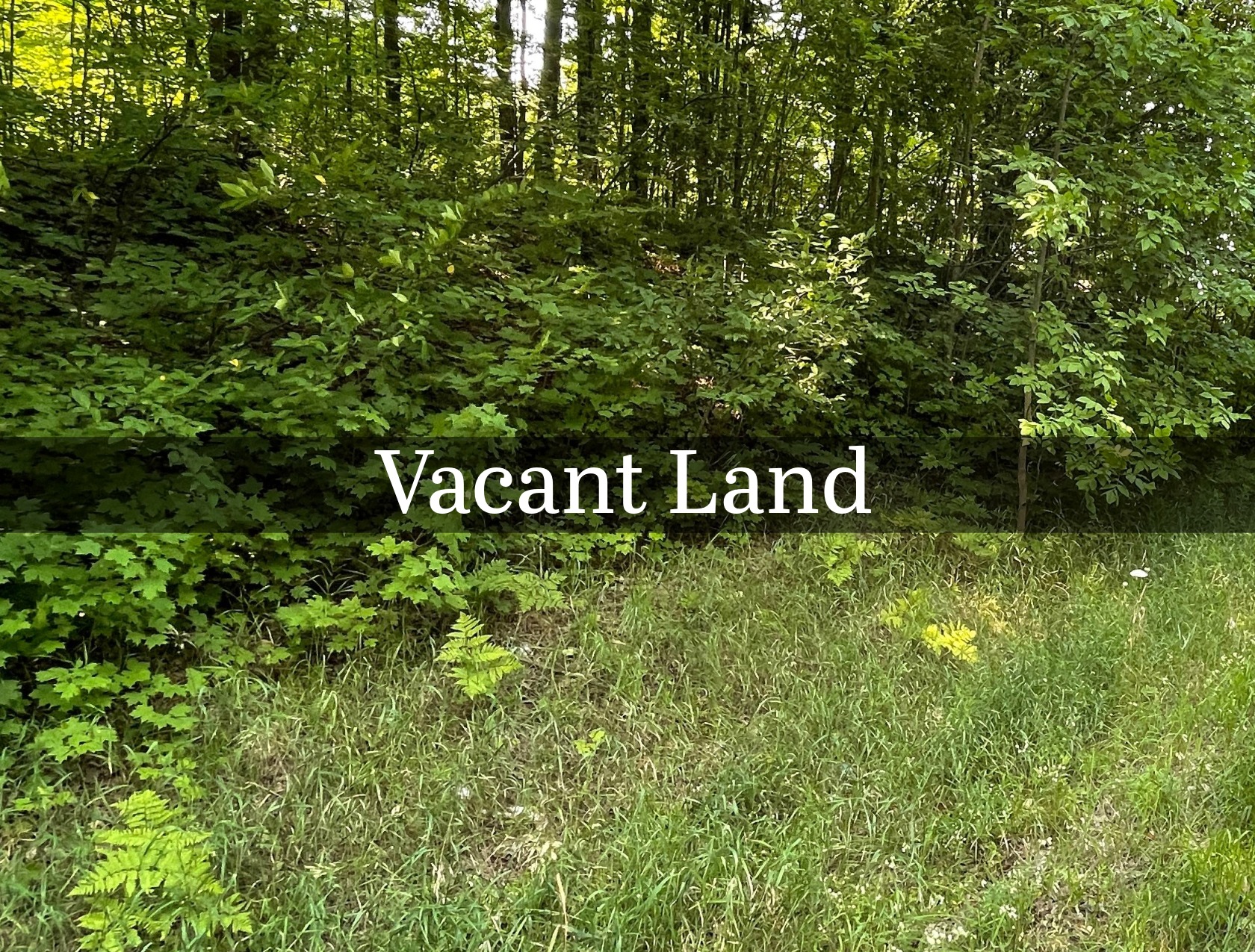 GB Website Photo - Vacant Land